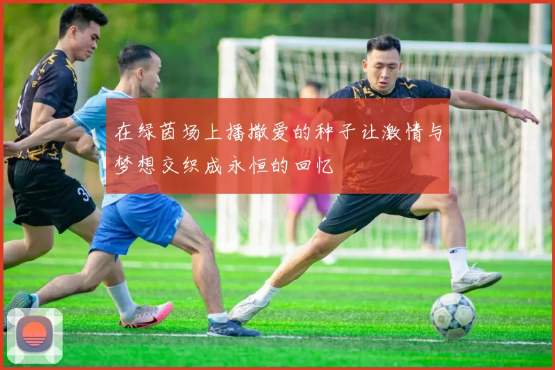 在绿茵场上播撒爱的种子让激情与梦想交织成永恒的回忆