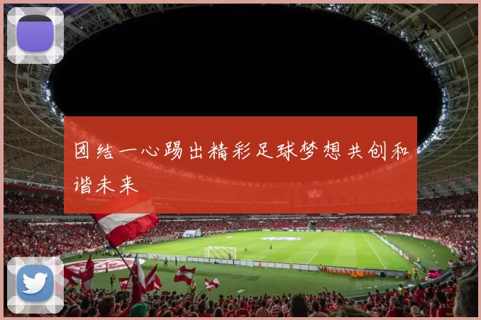 团结一心踢出精彩足球梦想共创和谐未来