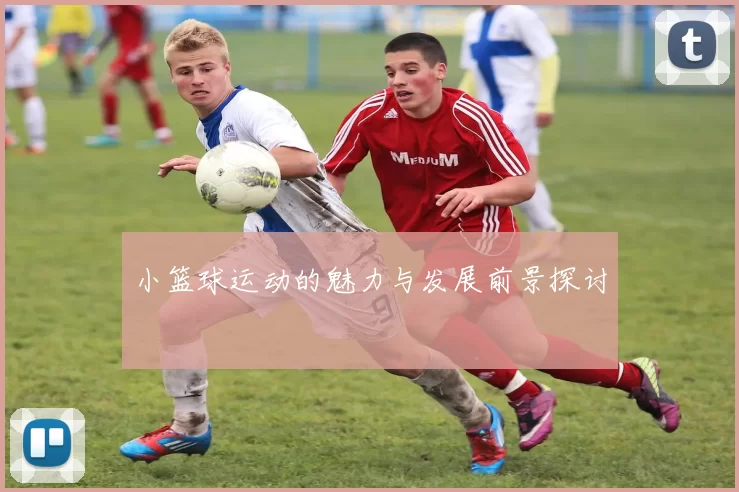 小篮球运动的魅力与发展前景探讨
